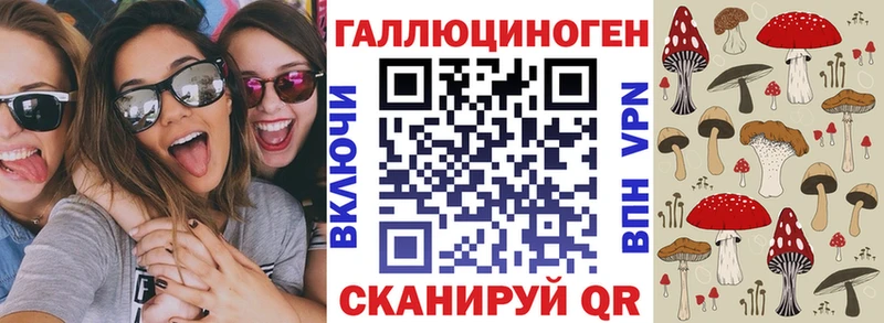 Галлюциногенные грибы Psilocybe  Грязовец 