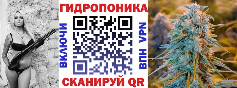 Канабис ГИДРОПОН  Грязовец 